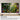 Samsung 50-Inch Class Crystal UHD U8000H Series Samsung Vision AI Smart TV (2026 Model, 50U8000H) Crystal Processor 4K, Endless Free Content, Motion Xcelerator, Color Booster, Alexa Built-in